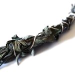 Thamemead Texas Sage Stick